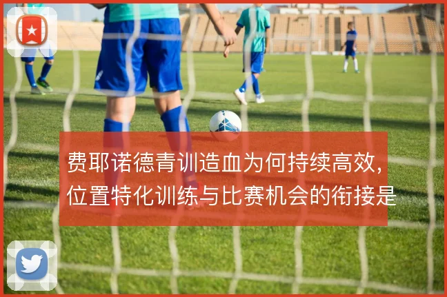 费耶诺德青训造血为何持续高效,位置特化训练与比赛机会的衔接是答案