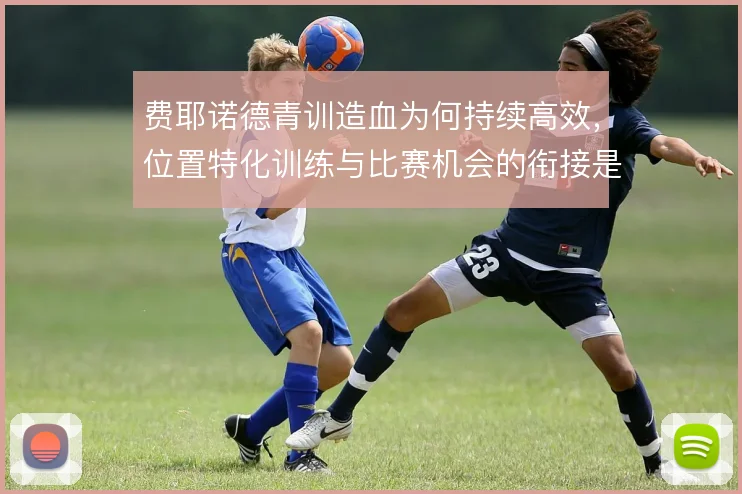 费耶诺德青训造血为何持续高效,位置特化训练与比赛机会的衔接是答案