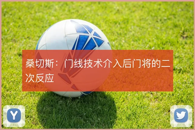 桑切斯:门线技术介入后门将的二次反应