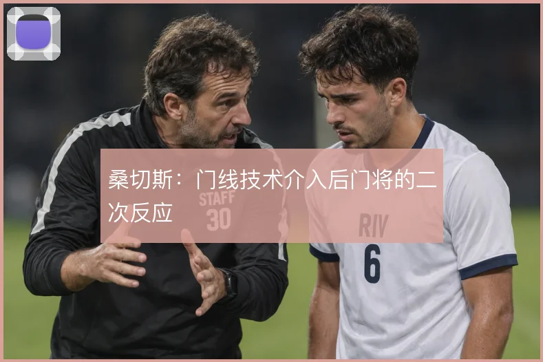 桑切斯:门线技术介入后门将的二次反应