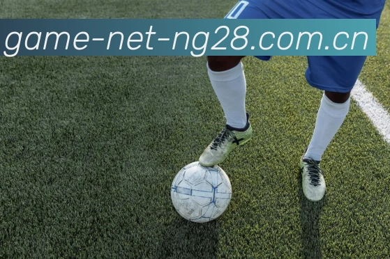 NG28APP 封面图